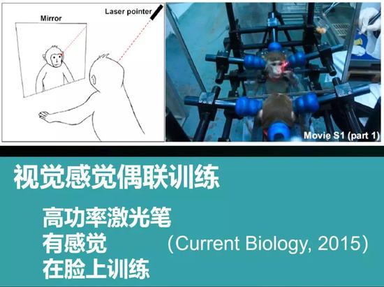 視覺本體位置偶聯(lián)訓(xùn)練