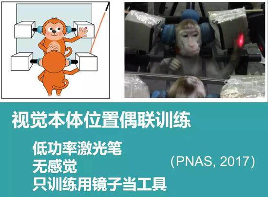 視覺本體位置偶聯(lián)訓(xùn)練