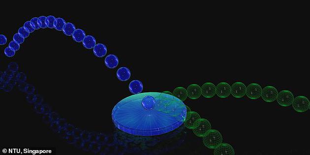 不同于經(jīng)典粒子，量子粒子可以作為“量子疊加態(tài)”、同時朝多個方向移動?？茖W(xué)家Mile Gu和格里菲斯大學(xué)的研究人員利用這一現(xiàn)象，打造了一臺能夠生成由多種未來構(gòu)成的疊加態(tài)的量子計算機。