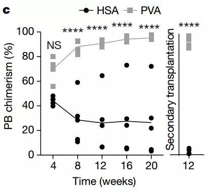 移植實驗：PVA，強，無敵！