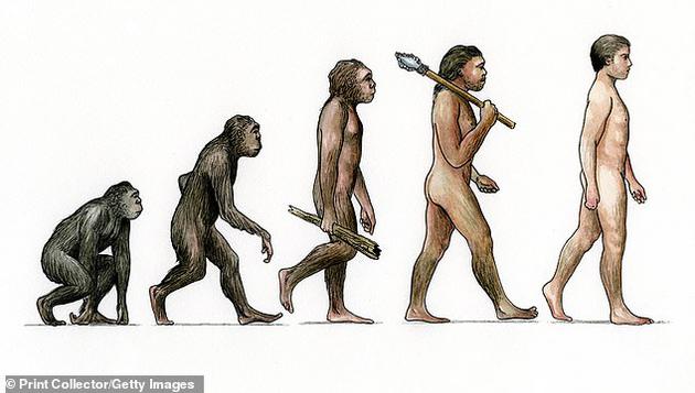 科學(xué)家發(fā)現(xiàn)幾十種基因，認(rèn)為它們可能在人類進(jìn)化歷程中發(fā)揮著關(guān)鍵作用。