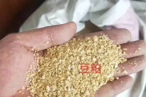 中國用尾氣合成出蛋白質(zhì) 這個(gè)全球首次的技術(shù)為啥還被噴了？